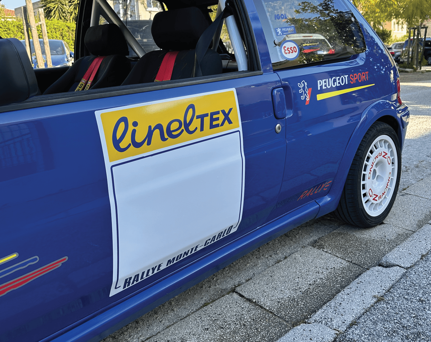 autocollant-rallye-monte-carlo-lineltex-portiere-106.png
